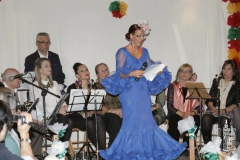 Cda 2016-03-12 Desfile moda flamenca 020
