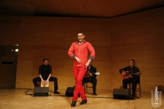 2017-02_XXI_FESTIVAL_FLAMENCO-030