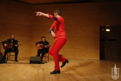 2017-02_XXI_FESTIVAL_FLAMENCO-031