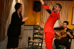 2017-02_XXI_FESTIVAL_FLAMENCO-048.jpg