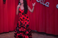 2017-11-25-Festival-de-Copla-008