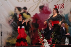 01-FERIA ABRIL  2018-323