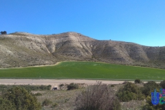 2019-05-04-Romeria-Fuendetodos-025