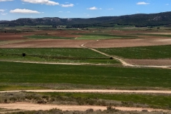 2019-05-04-Romeria-Fuendetodos-103