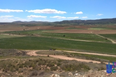 2019-05-04-Romeria-Fuendetodos-106