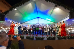 2019-12-13-Villancicos-Plaza-Pilar-003