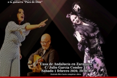 2020-01-31 Flamenco auditorio
