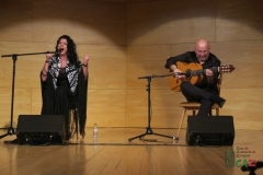 2020-01-31-Flamenco-auditorio-001