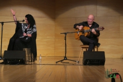 2020-01-31-Flamenco-auditorio-002