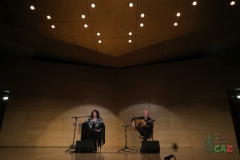 2020-01-31-Flamenco-auditorio-004