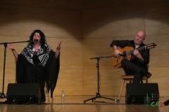 2020-01-31-Flamenco-auditorio-005