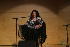2020-01-31-Flamenco-auditorio-011