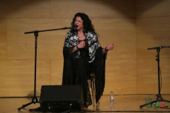 2020-01-31-Flamenco-auditorio-012