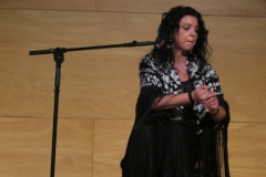 2020-01-31-Flamenco-auditorio-015