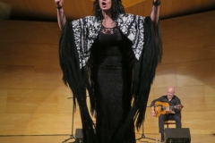 2020-01-31-Flamenco-auditorio-018