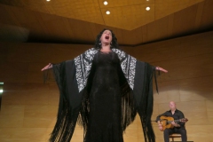 2020-01-31-Flamenco-auditorio-019