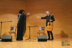 2020-01-31-Flamenco-auditorio-022