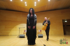 2020-01-31-Flamenco-auditorio-024