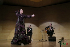 2020-01-31-Flamenco-auditorio-025