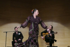 2020-01-31-Flamenco-auditorio-026