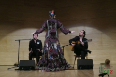 2020-01-31-Flamenco-auditorio-029