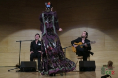 2020-01-31-Flamenco-auditorio-030