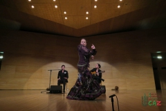 2020-01-31-Flamenco-auditorio-031