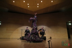 2020-01-31-Flamenco-auditorio-032