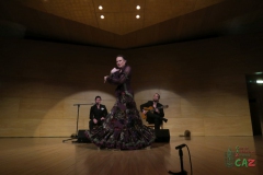 2020-01-31-Flamenco-auditorio-033