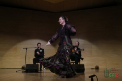 2020-01-31-Flamenco-auditorio-036