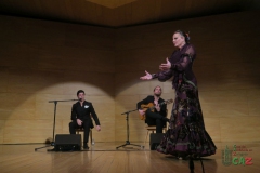 2020-01-31-Flamenco-auditorio-037