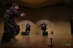 2020-01-31-Flamenco-auditorio-039