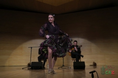 2020-01-31-Flamenco-auditorio-040