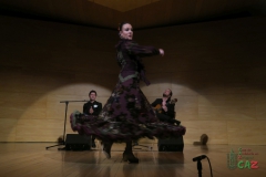 2020-01-31-Flamenco-auditorio-041