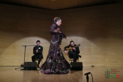 2020-01-31-Flamenco-auditorio-042