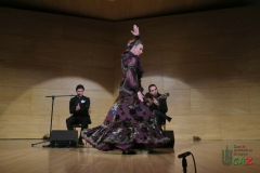 2020-01-31-Flamenco-auditorio-043