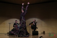 2020-01-31-Flamenco-auditorio-044
