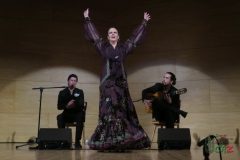 2020-01-31-Flamenco-auditorio-045