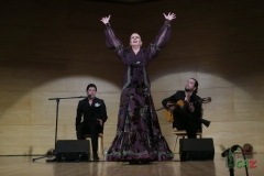 2020-01-31-Flamenco-auditorio-046