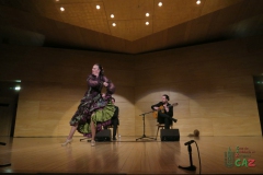 2020-01-31-Flamenco-auditorio-047