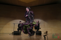2020-01-31-Flamenco-auditorio-048