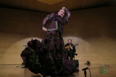 2020-01-31-Flamenco-auditorio-049