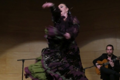 2020-01-31-Flamenco-auditorio-050
