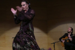 2020-01-31-Flamenco-auditorio-051