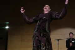 2020-01-31-Flamenco-auditorio-052