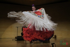 2020-01-31-Flamenco-auditorio-058