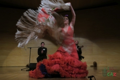 2020-01-31-Flamenco-auditorio-059