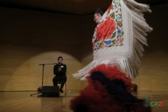 2020-01-31-Flamenco-auditorio-060