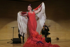 2020-01-31-Flamenco-auditorio-061