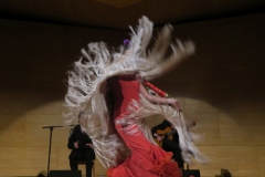 2020-01-31-Flamenco-auditorio-062